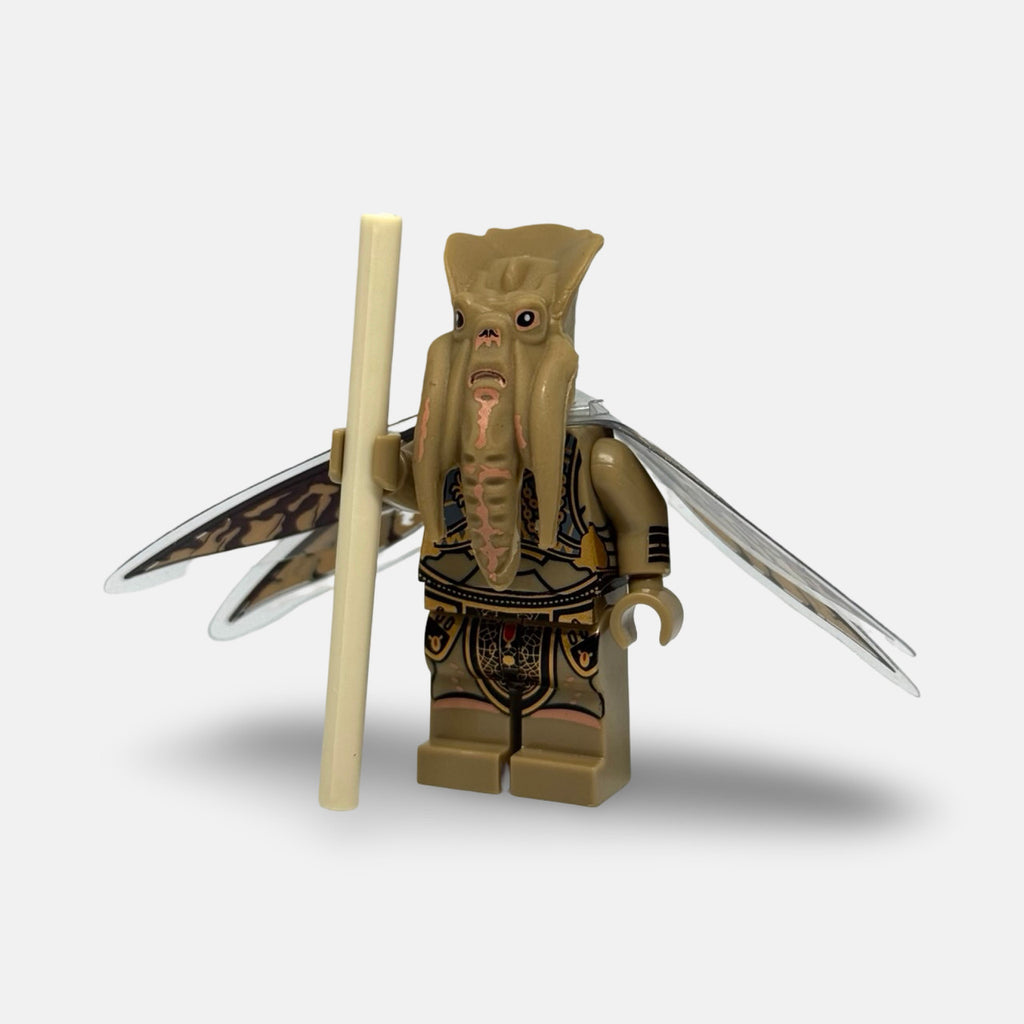 Poggle the Lesser