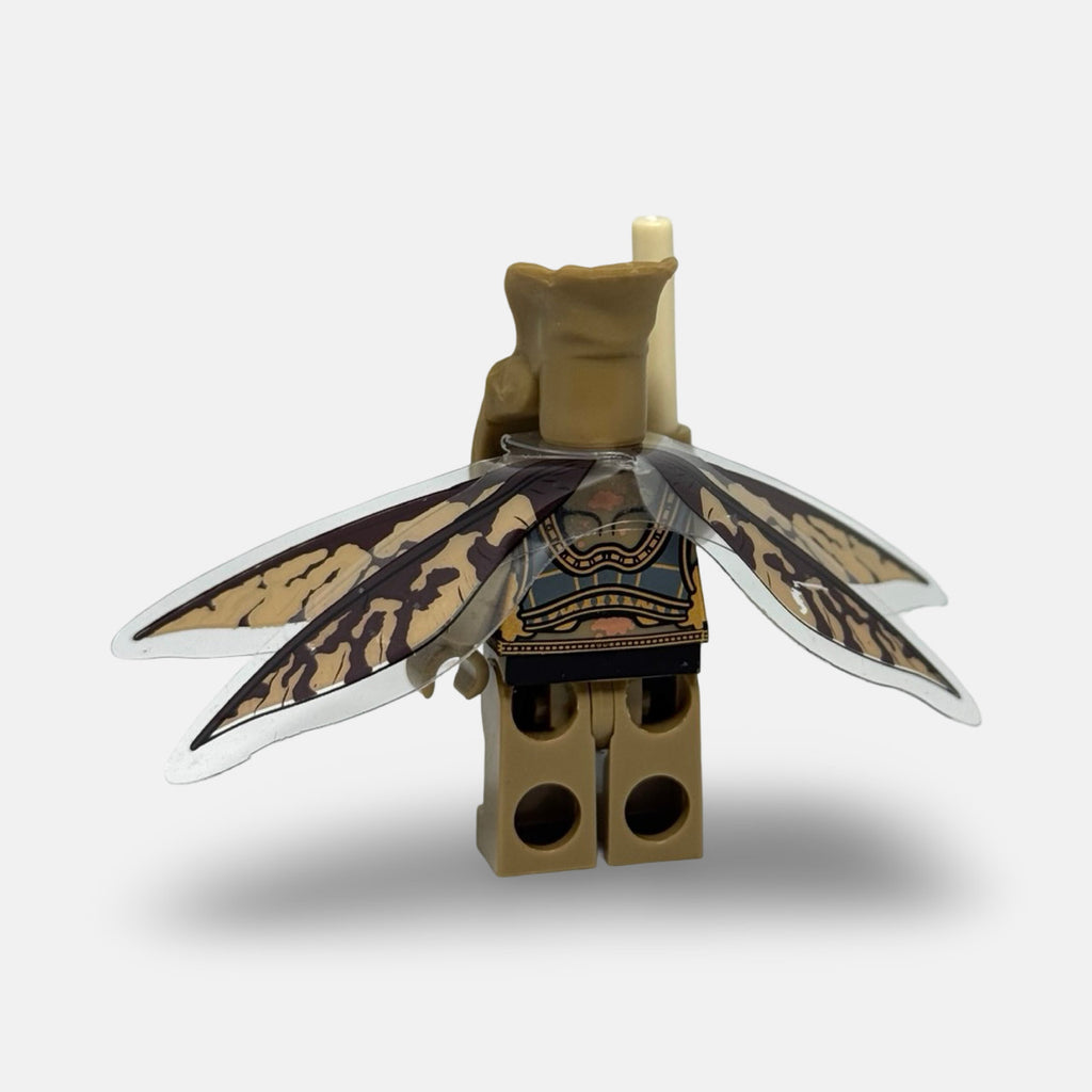 Poggle the Lesser