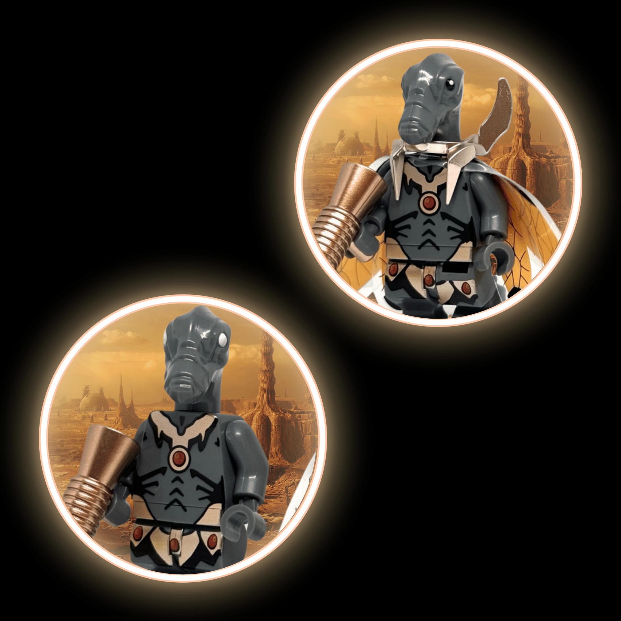 Grey Geonosian w/ Rose Gold Armour + Zombie Head