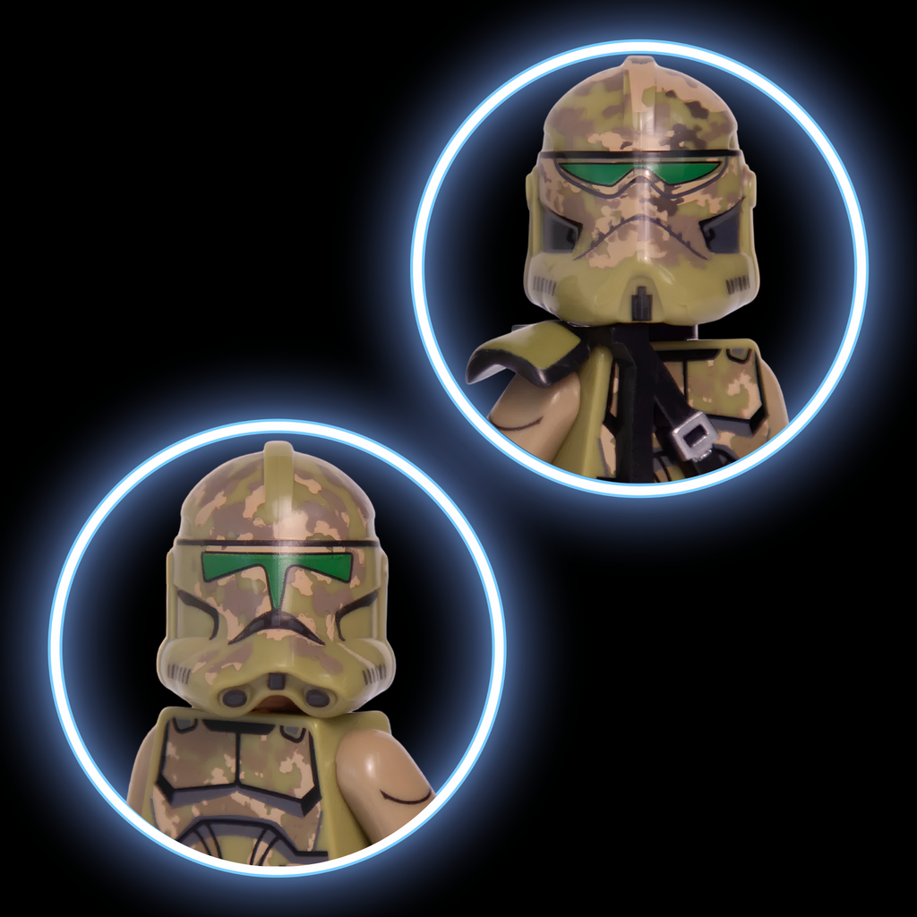 41st Kashyyyk Trooper - 2020 Style