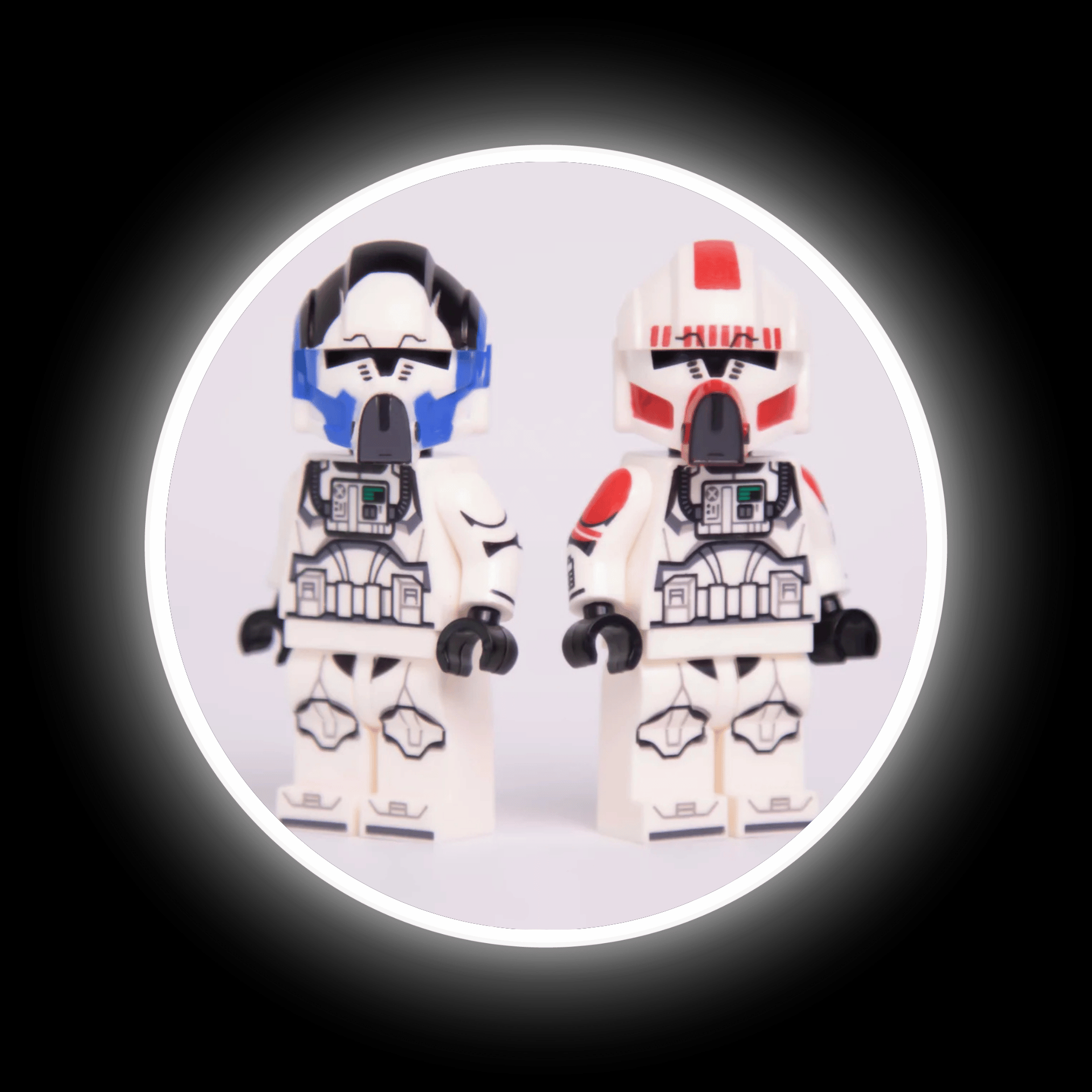 501st/Coruscant Guard Pilot Combo - 2020 Style