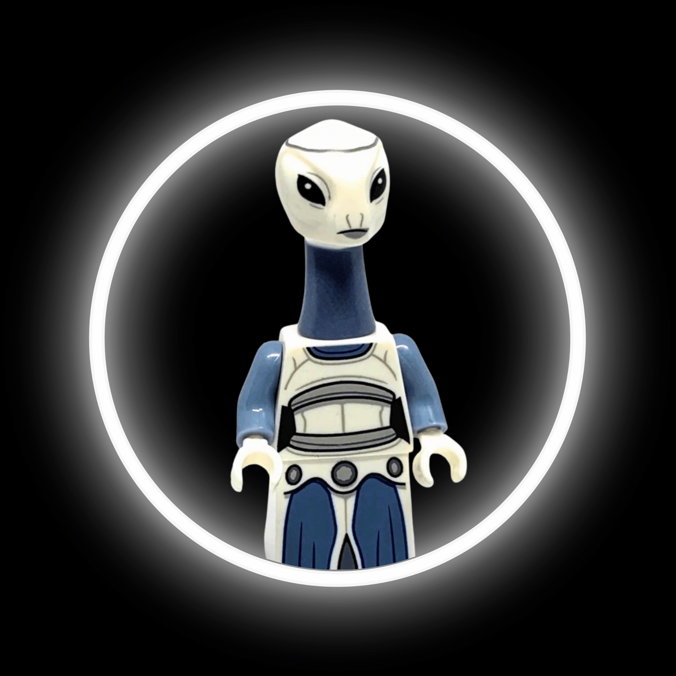 Taun We — custom Star Wars minifigure on premium 1:1 bricks