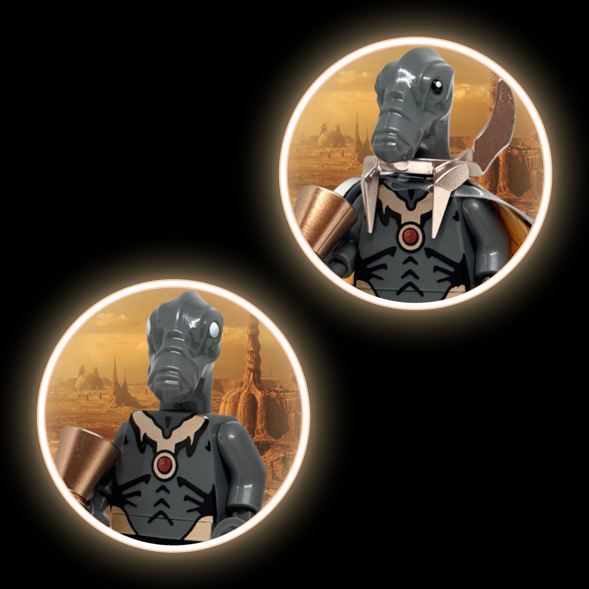 Grey Geonosian w/ Rose Gold Armour + Zombie Head