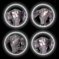 Poseable B-2 Super Battle Droid - 4 PACK