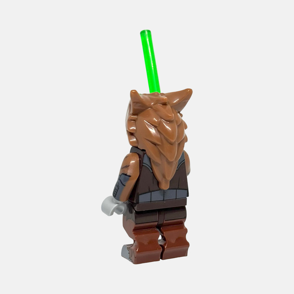 Jedi Master Voolvif Monn