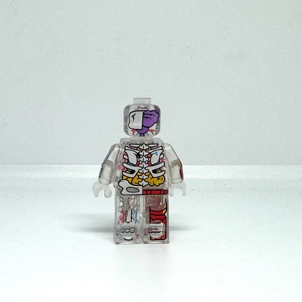 The Visible Man Figure