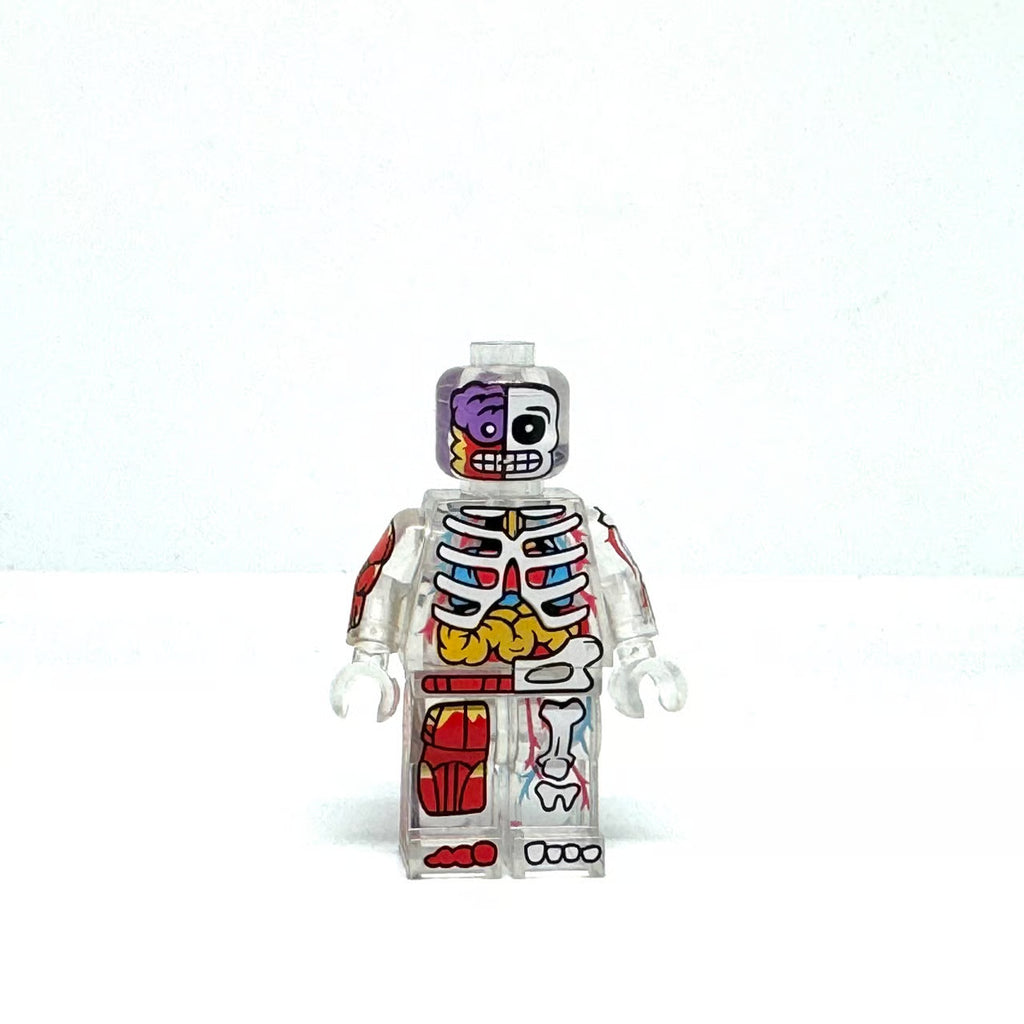 The Visible Man Figure